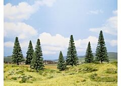 Brazi-cub promotional