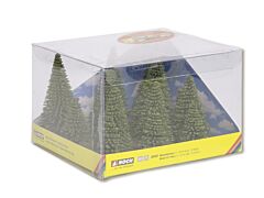 Brazi-cub promotional