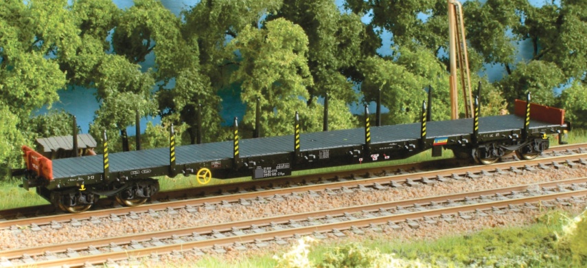 Vagoane tip Rgs, CFR Marfa